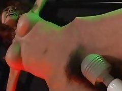 Намхан азийн холбоотой, toyed