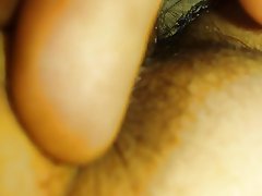 Бяцхан илжиг тоглох