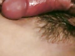 Холмс авдаг, энэ нь түүний илжиг