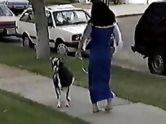 Hunchback of муухай dames xxx