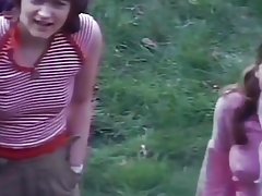 Швед сонгодог